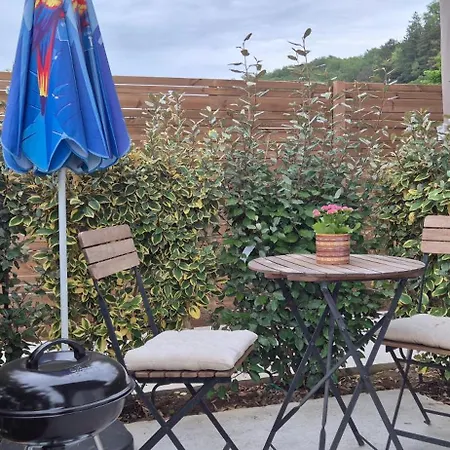 Le Superbe, Studio, Terrasse Et Parking * Allinges